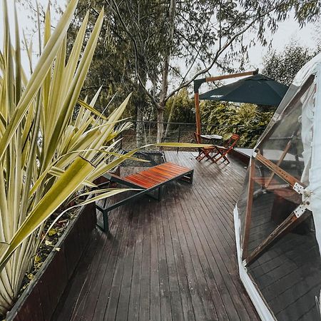 ホテル Domus Glamping Guatapé エクステリア 写真