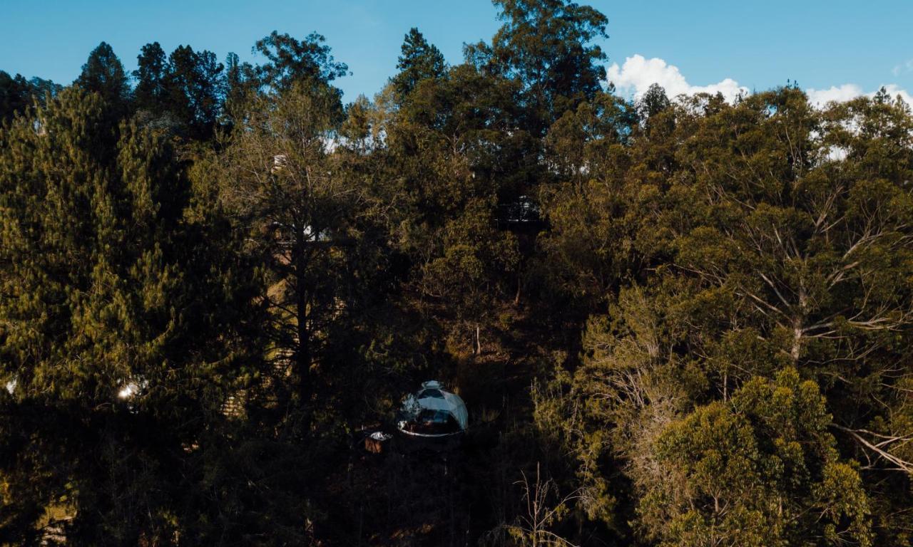 ホテル Domus Glamping Guatapé エクステリア 写真