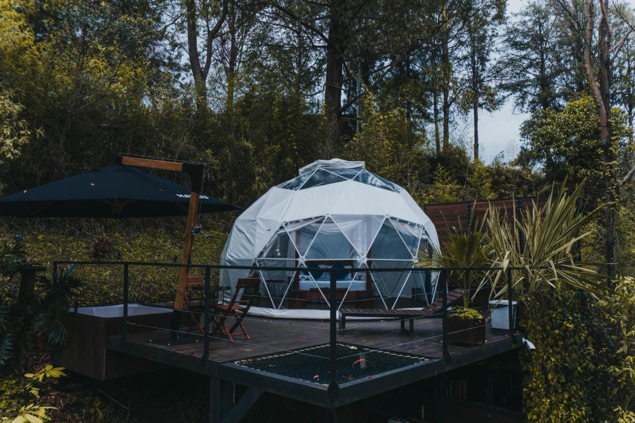 ホテル Domus Glamping Guatapé エクステリア 写真